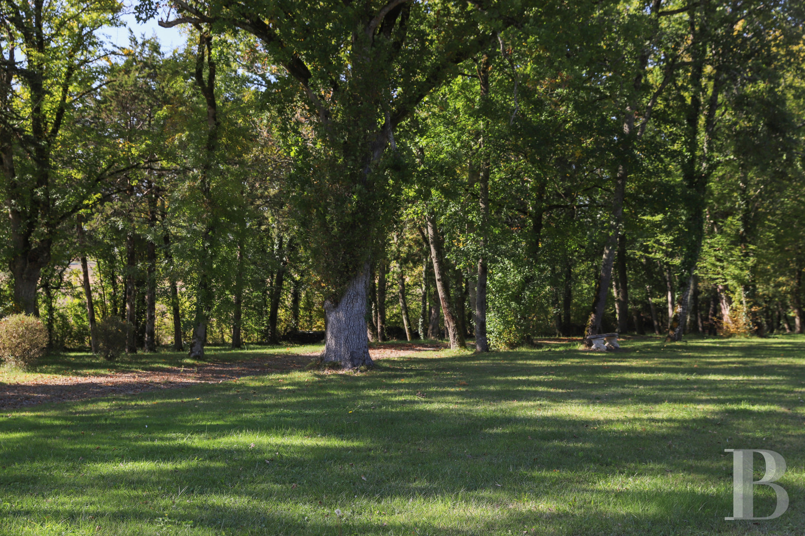 An 18th century chateau surrounded by trees and hills in the Lot valley - photo  n°7